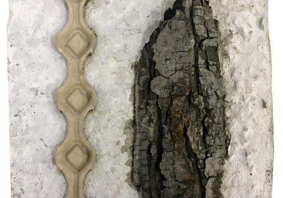 Eggs & Bark, 12 inches x 9 inches x 1 inch, Concrete, Found Objects, 2017